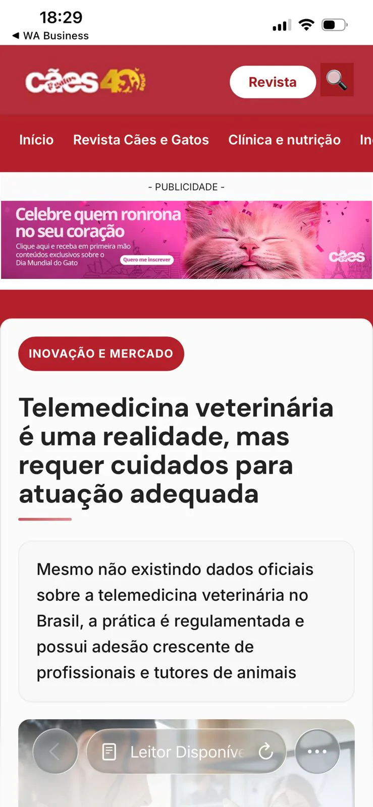Tela de atendimento por telemedicina